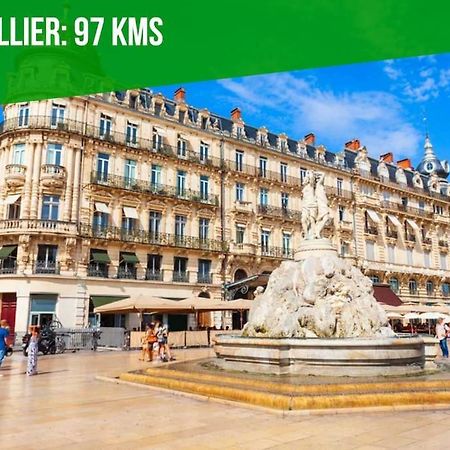 Apartmán L'Olivier - 2 Terrasses - Clim Ac - Wifi - Proche Theatres Avignon Exteriér fotografie